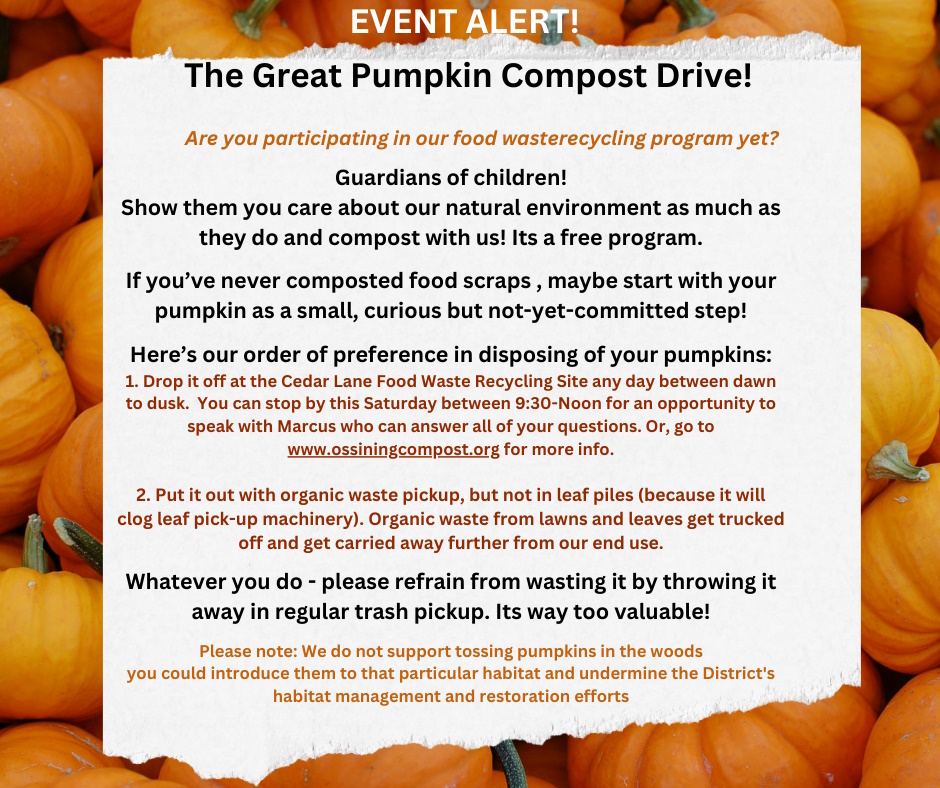 Pumpkin Compost FB