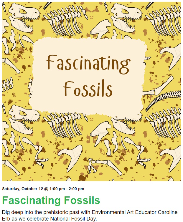 Fascinating Fossils