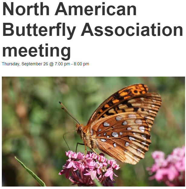 butterfly association meeting