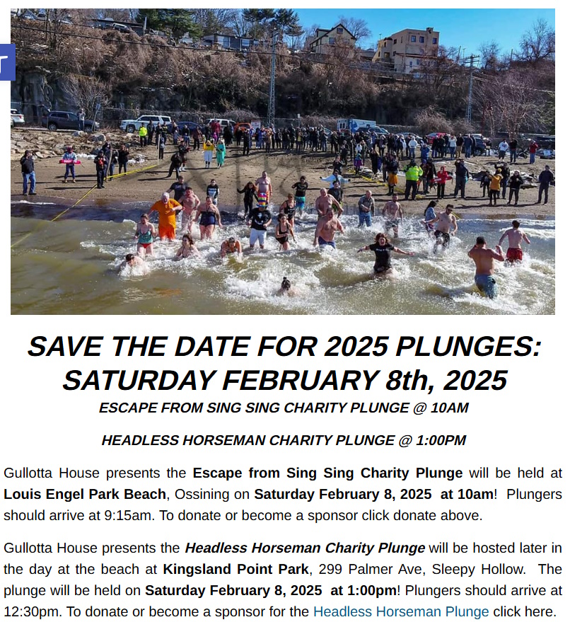 Polar Plunge