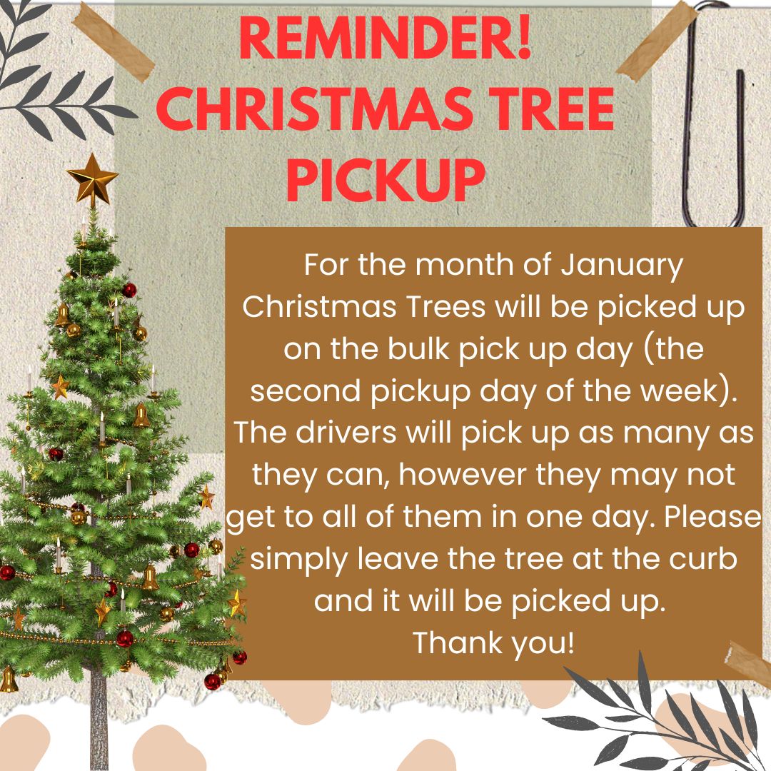 Christmas Tree Pick Up 1